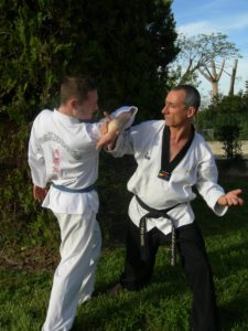 taekwondo defense